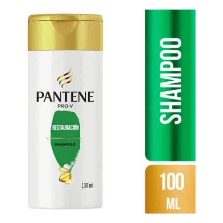 PNT SH RESTAURACION FCO 100ML